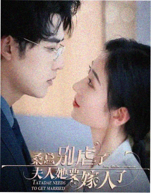 炊事班的故事 电视剧免费播放在线